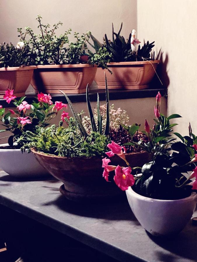 Borgo Antico B&B Foggia Dış mekan fotoğraf